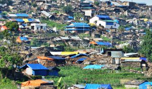 2015 Nepal-Bihar Earthquake